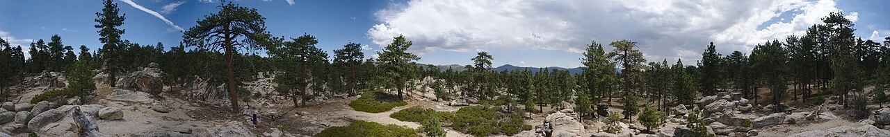 Panoramic view of Bluff Lake and its surrounding forest