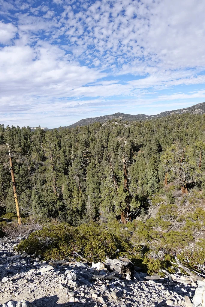 Mountain and lake view from the Pacific Crest Trail near Big Bear